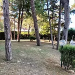 Tartana